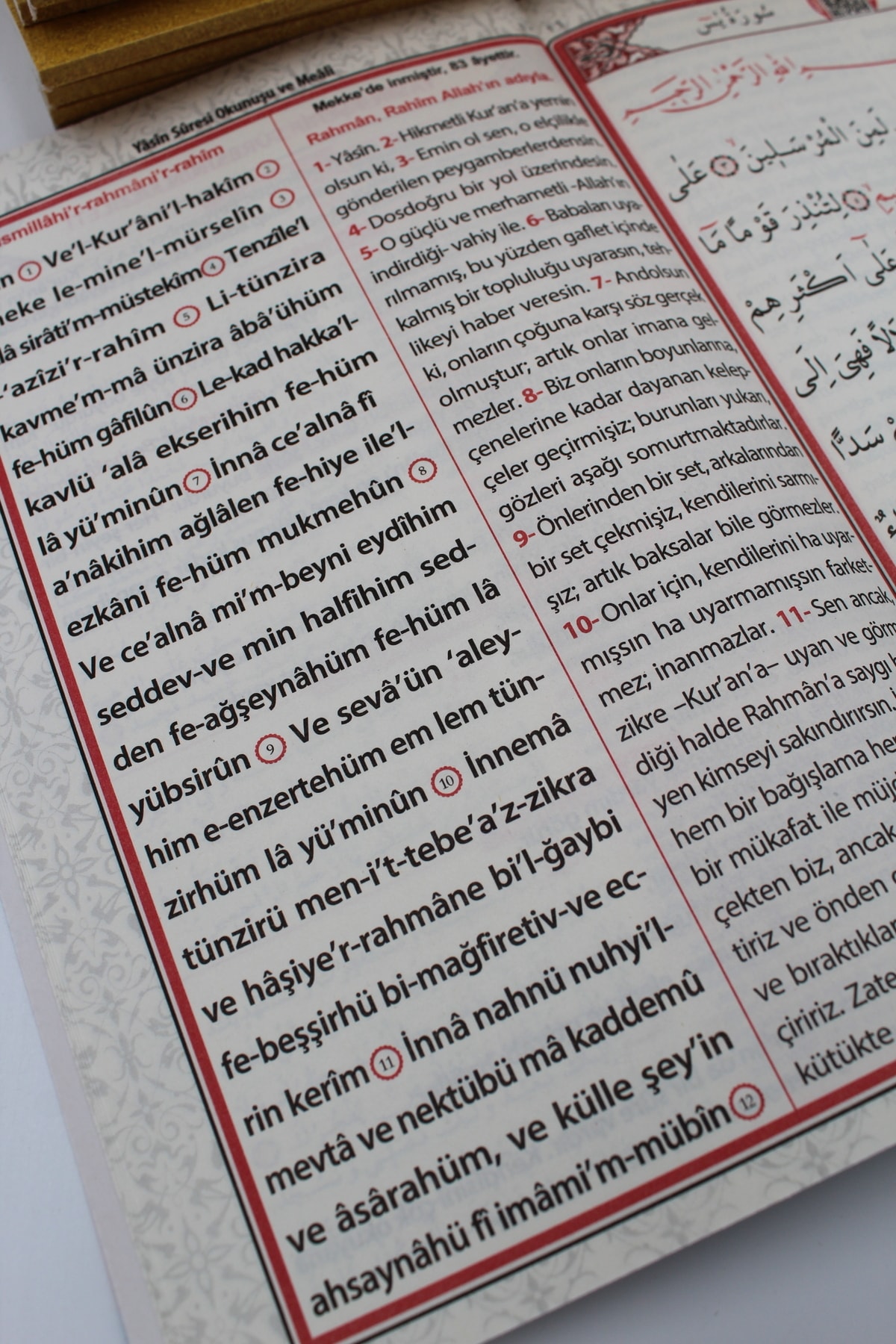 Merve Yayınları Hediyelik 10 Adet Ekonomik Sesli Yasin-i Şerif Açıklamalı Ve Mealli Sarı 80shf Orta Boy(17x24cm) fotoğrafı 7 (önizleme)