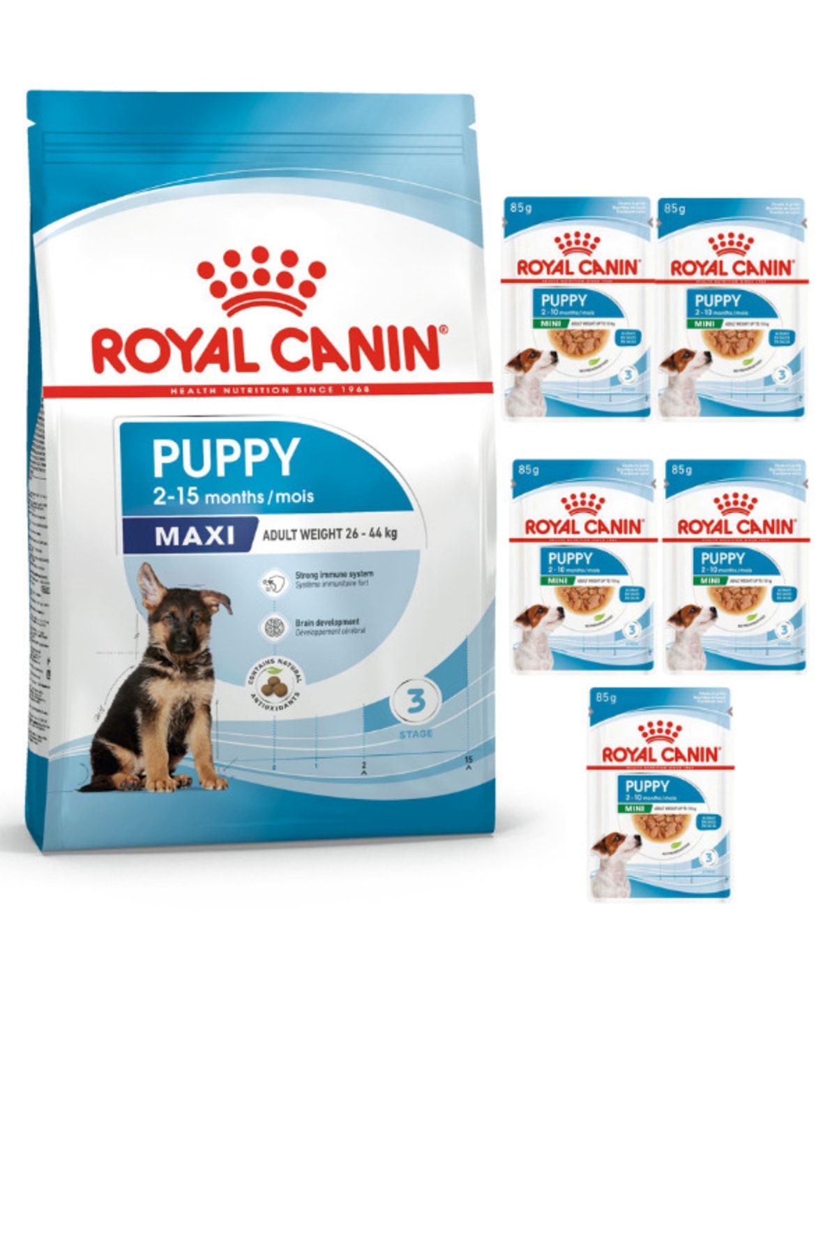 Роял канин макси паппи. Royal Canin Maxi Puppy.