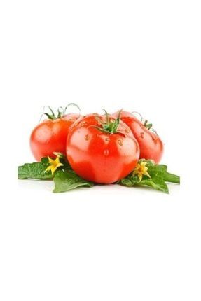Esra Şelem Organik Domates - Biber - Salatalık - Patlıcan Tohumu 3533023