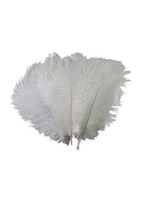 Vazo Dekoratif Deve Kuşu Tüyü ( 37 cm - 45 cm) Beyaz ARM-N6123