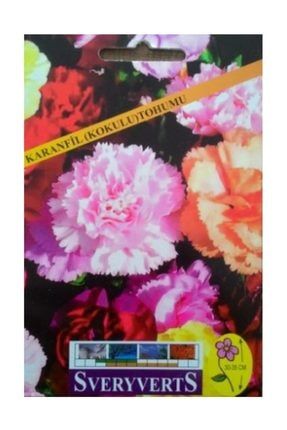 Kokulu Karanfil Çiçeği Tohumu 1 Paket STANDART