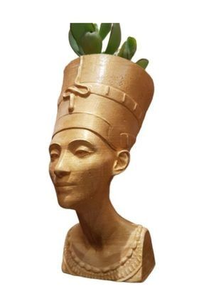 Nefertiti Dekoratif Saksı + Sukulent TRNDYLNFRTT1