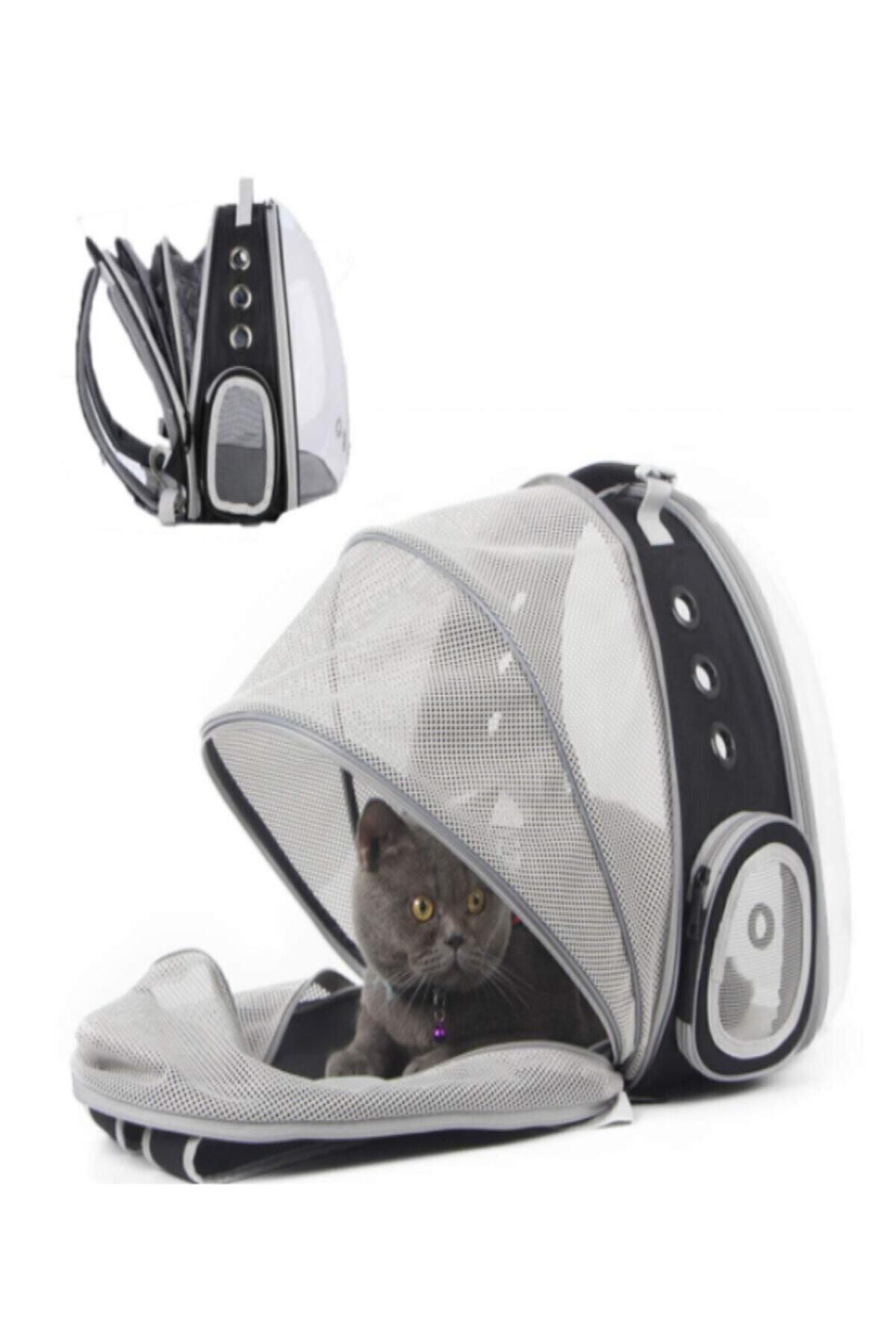 Pet shop carrying bags