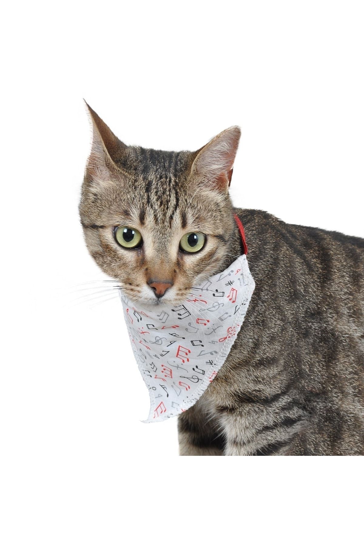 Tasmalı Kedi Fuları Desenli Ayarlı Fular