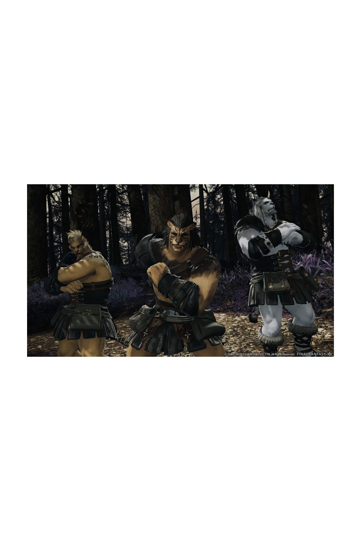 Final Fantasy XIV A Realm Reborn PS4 Oyun 6