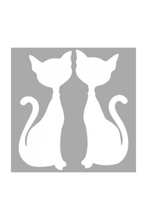 artikel mucize kara kedi ile ugur