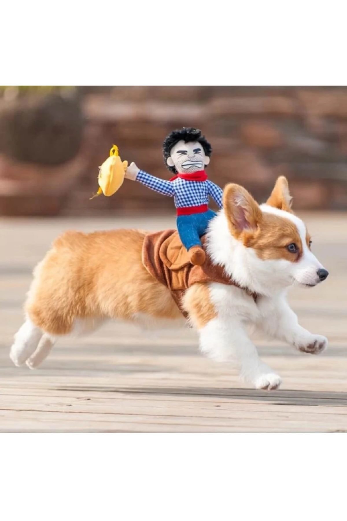 Dogstory Hırsız Kovboy Kedi Köpek Kostümü Sevimli Pet Gezdirme Kıyafeti