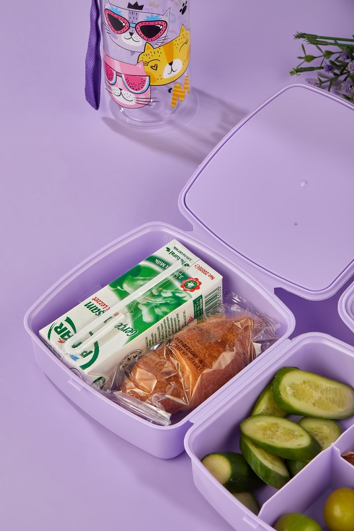 ALİNA HOME-2 Layers 4 Compartments Lunch Box with Spoon and 500 CC Straw Flask with Cat 6