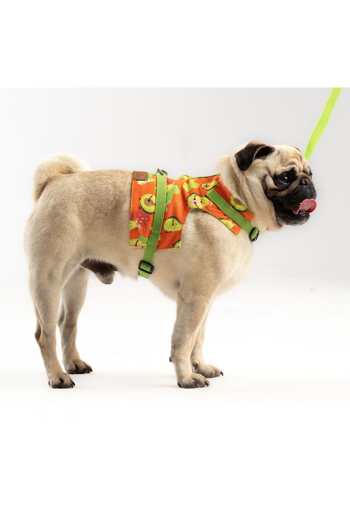 Pug dog collars new arrivals