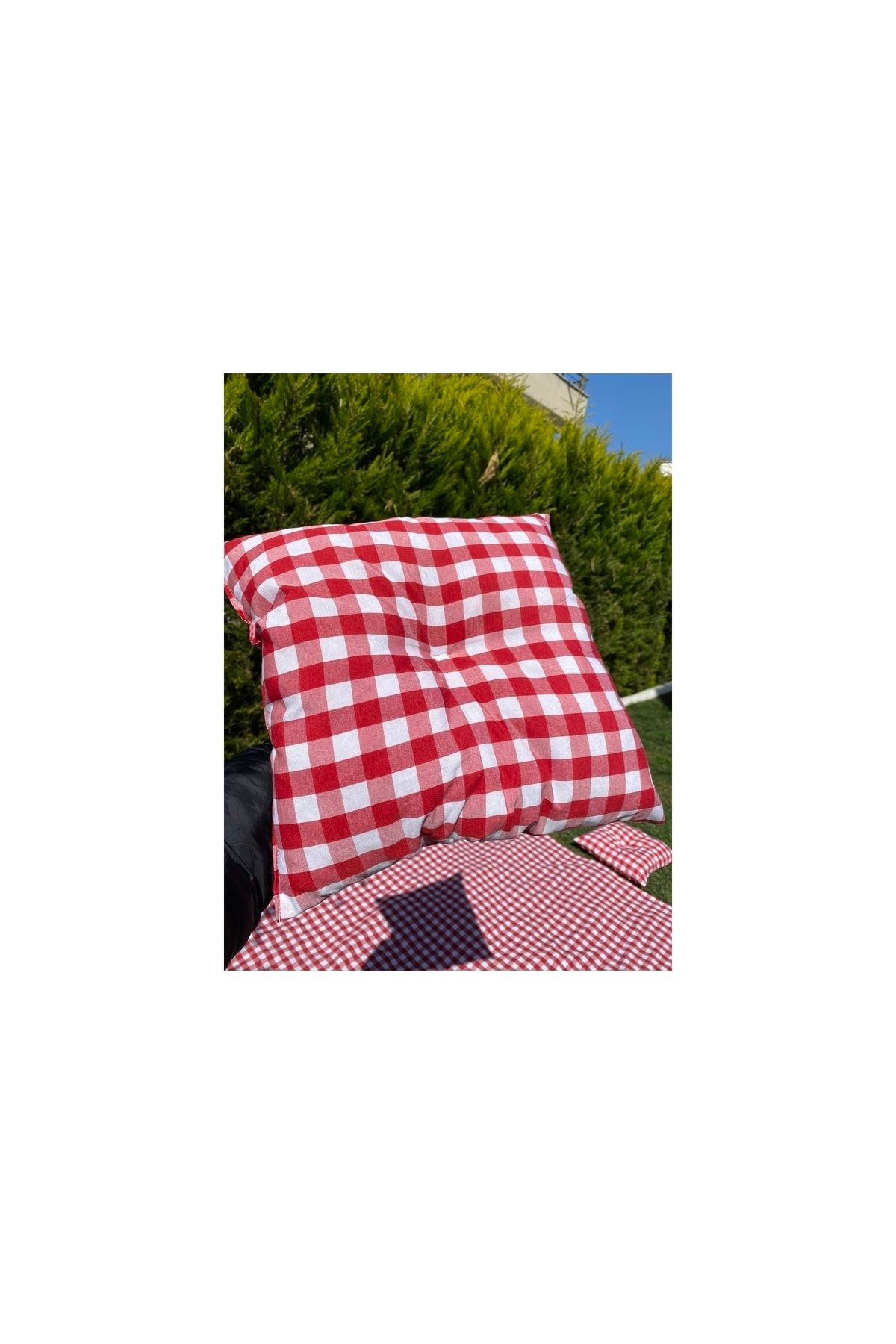 Picnic blanket with pillow on sale