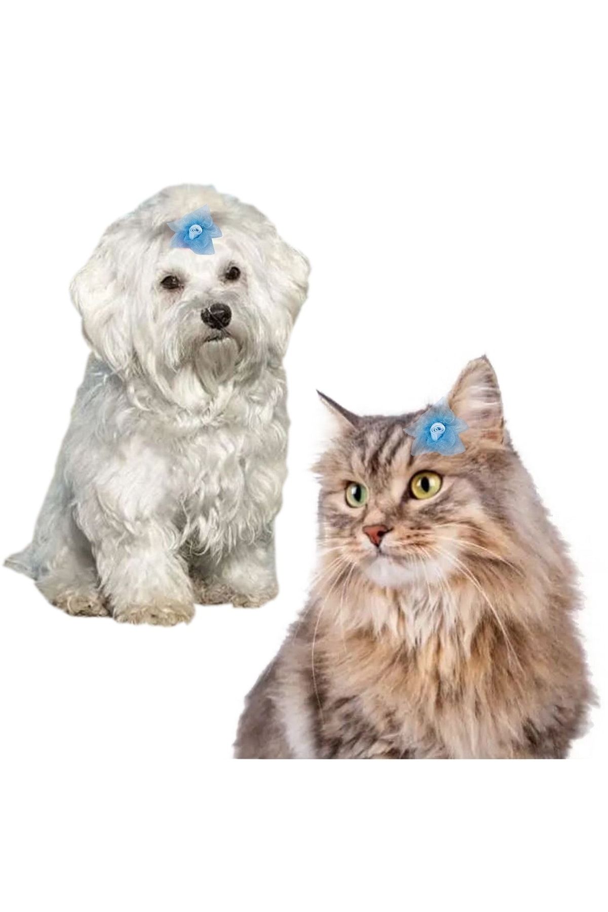 Kedi Köpek Saç Tokası Pensli 2'li Set Mavi Renk