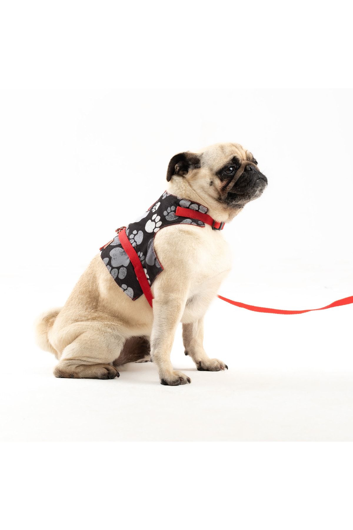 Patipatron-Anti-Escape Adjustable Small Breed Dog Chest Collar Set and Walking Rope 1