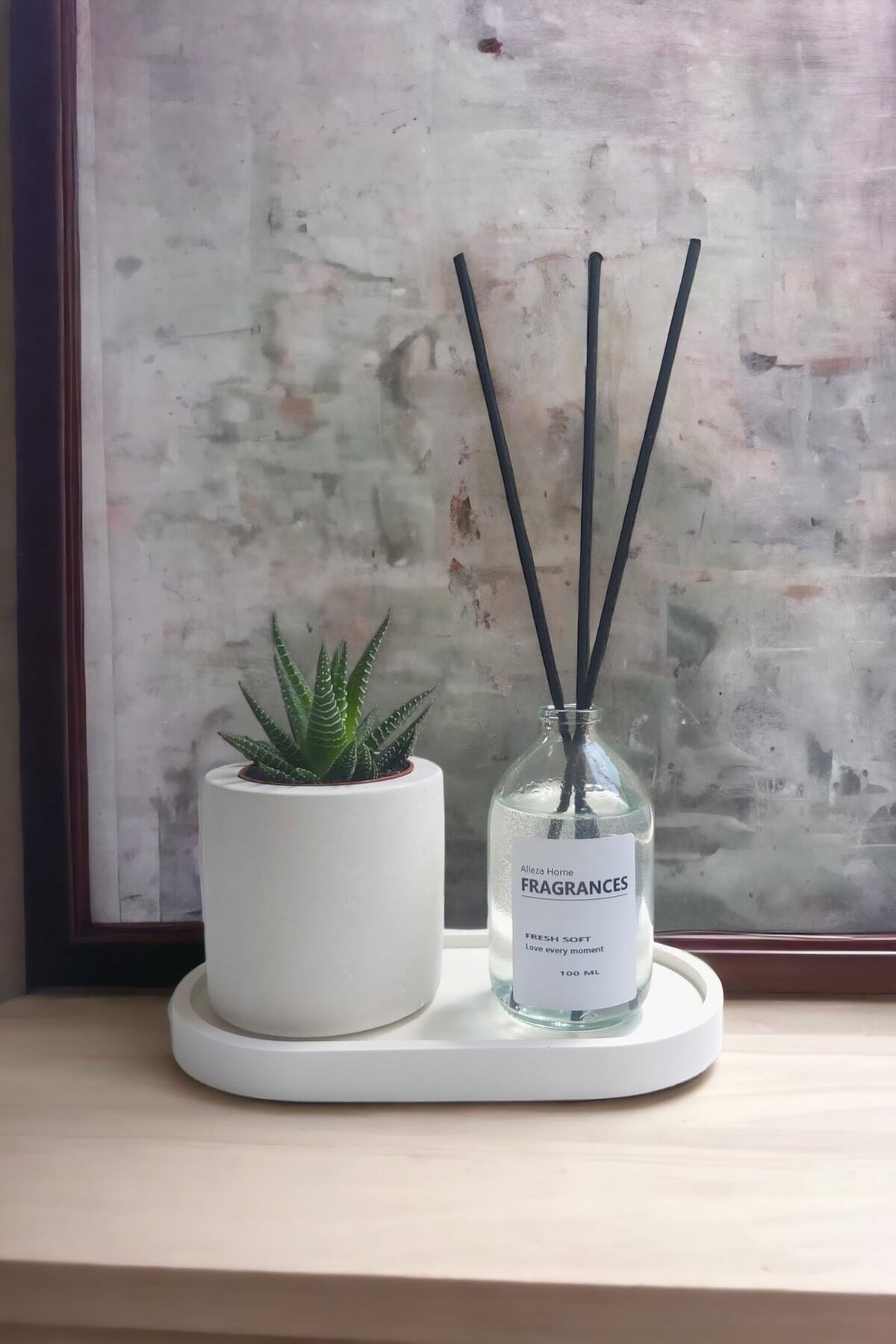 Decorative Concrete Succulent Flower Pot Fresh Soft Room Fragrance Set with Stand