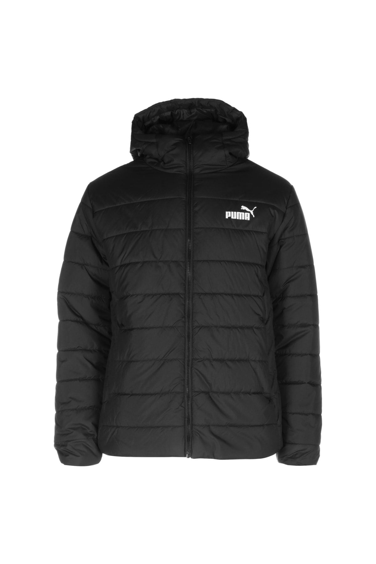 سنگ پایه Puma