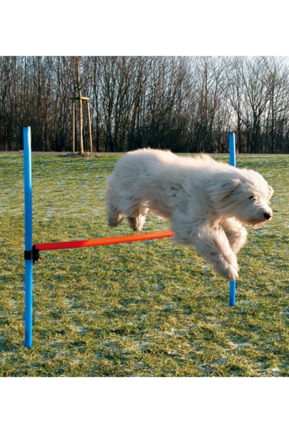 Trixie مانع آموزش چابکی سگ 129 × 115 3 سانتی متر KO.28007