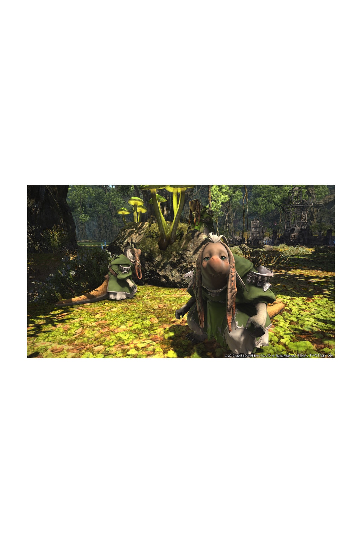 Final Fantasy XIV A Realm Reborn PS4 Oyun 5