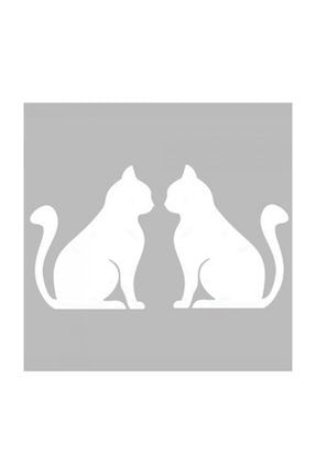 artikel mucize kara kedi ile ugur