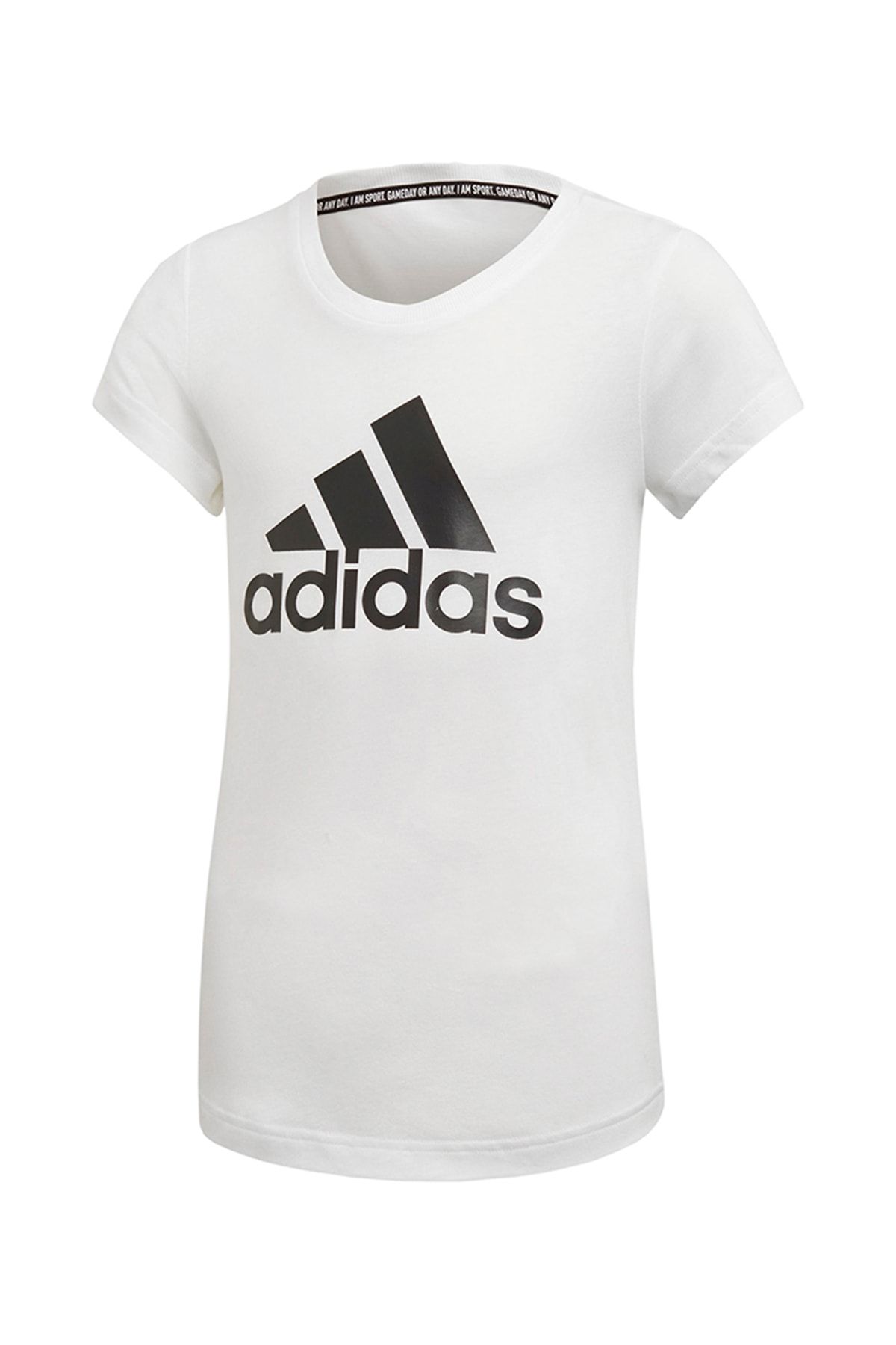 Футболка adidas tee. Adidas t Shirt. Adidas Essentials big logo. Белая футболка адидас мужская. Германская футболка адидас мужская.