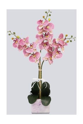 Mermer Görünümlü Beton Saksıda 3lü Yapay Orkide Tanzim Fuşya Benekli 80cm YPCCK-BTN-75