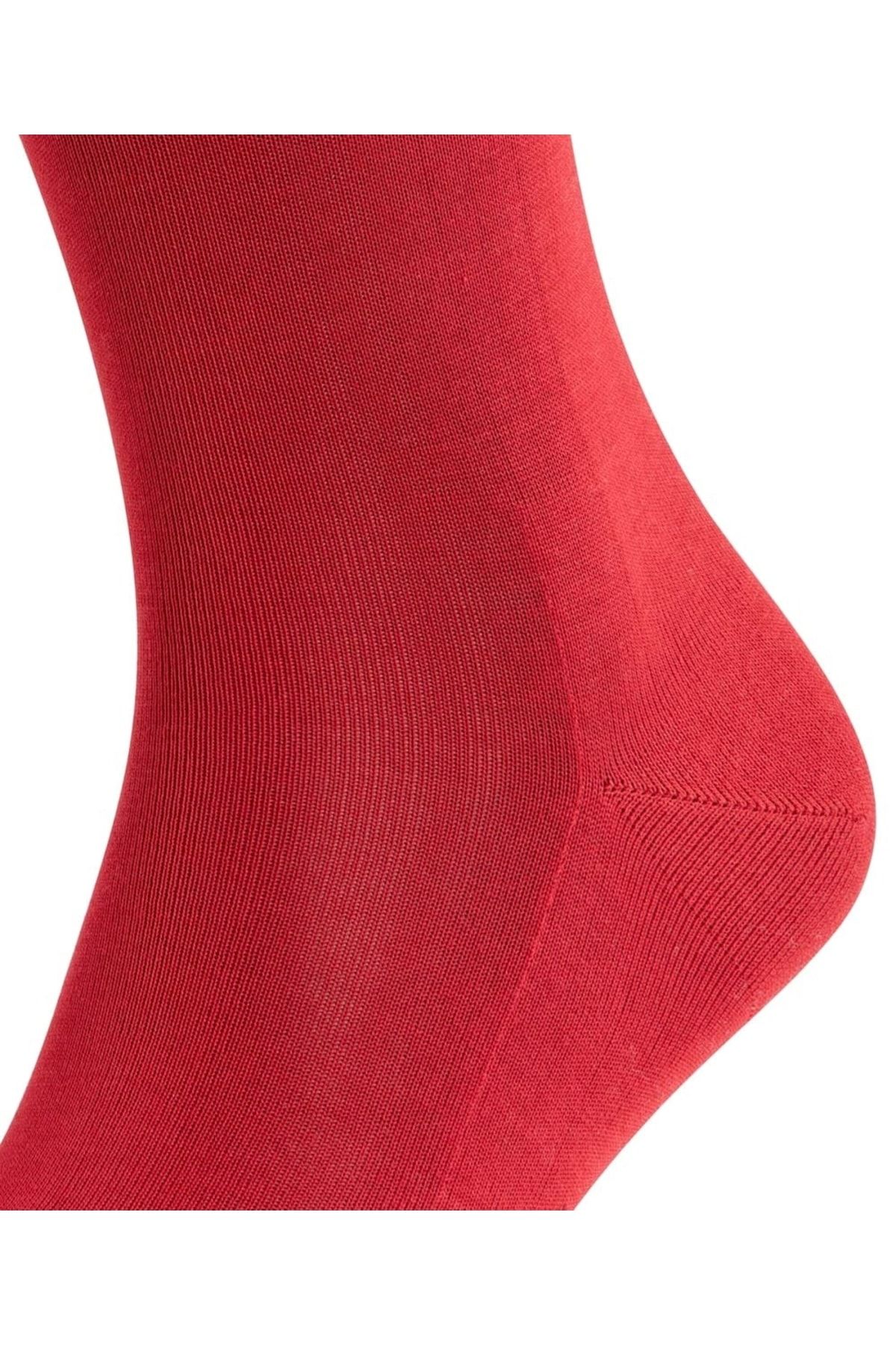 FALKE-Herren Socken - Tiago, Strümpfe, Baumwolle, Logo, lang, einfarbig 4