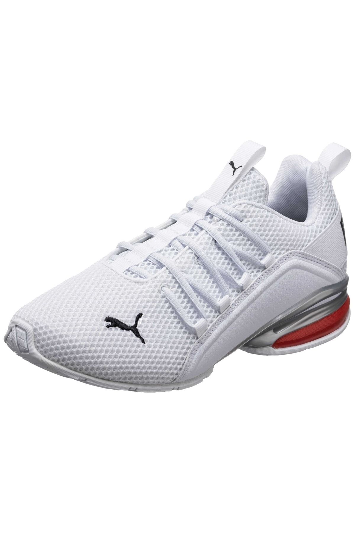 محور LS Puma