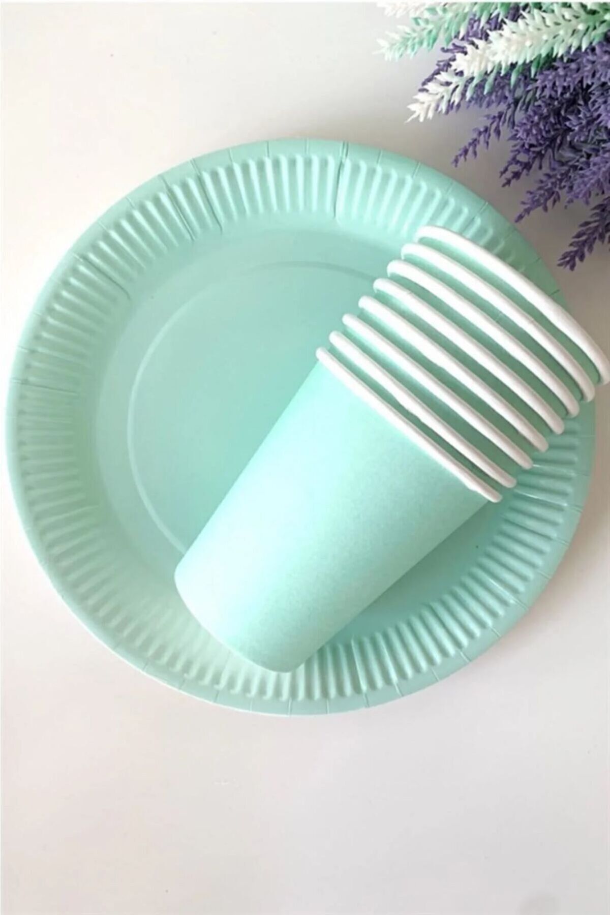 a k n concept Green Macaron Pastel Cardboard Plate Cup Set of 8