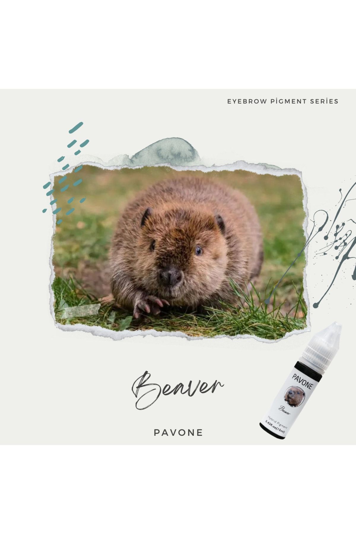 رنگ ابرو هیبریدی - پیگمنت میکروبلیدینگ - آرایش دائمی Pavone