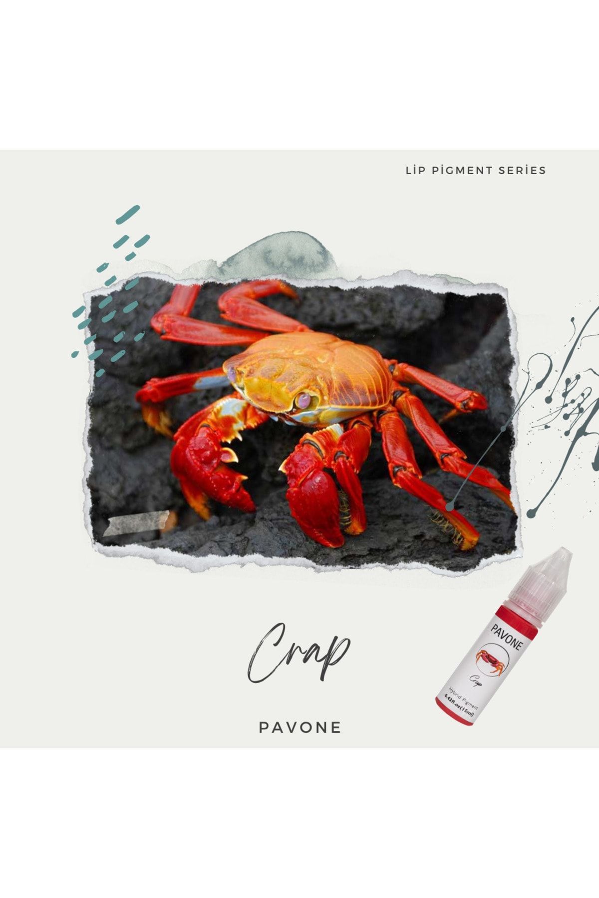 رنگ لب آرایش دائم - پیگمنت لب هیبرید - Pavone