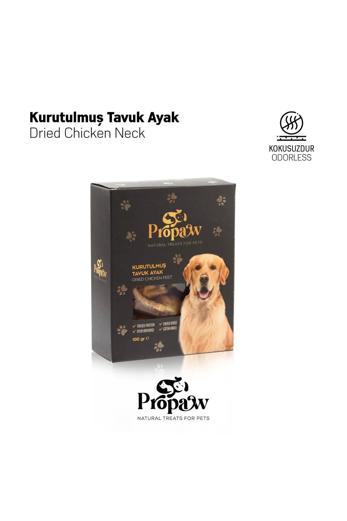 kanatlı ayak koşu ayakkabısı