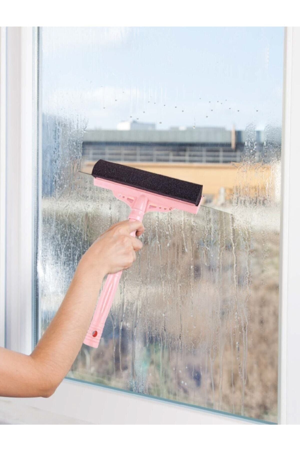 Glass deals cleaning sponge