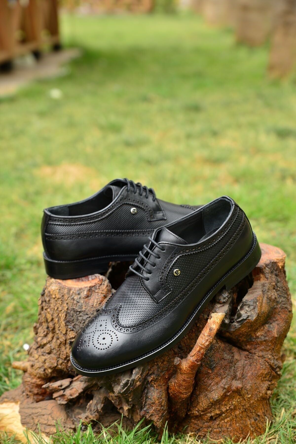 Pierre cardin dress shoes on sale
