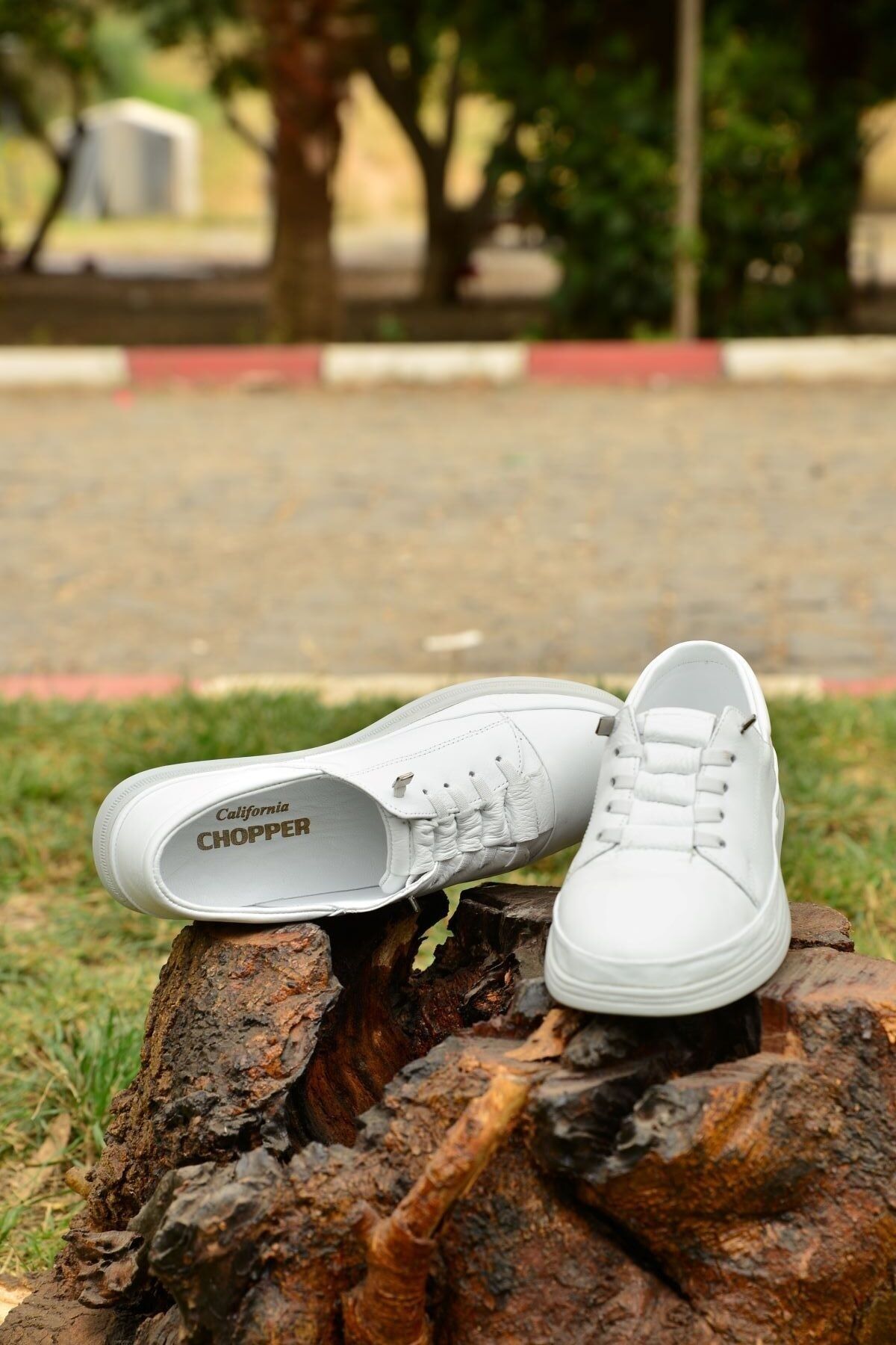 Dunlop canvas hot sale shoes white