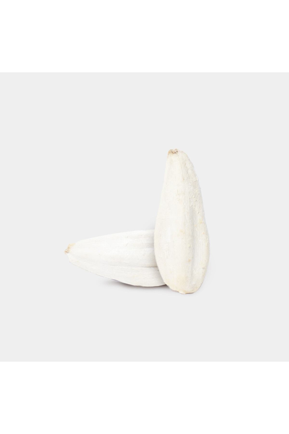 Çerez Ağacı Ayçekirdeği Beyaz Tuzlu 500 gr