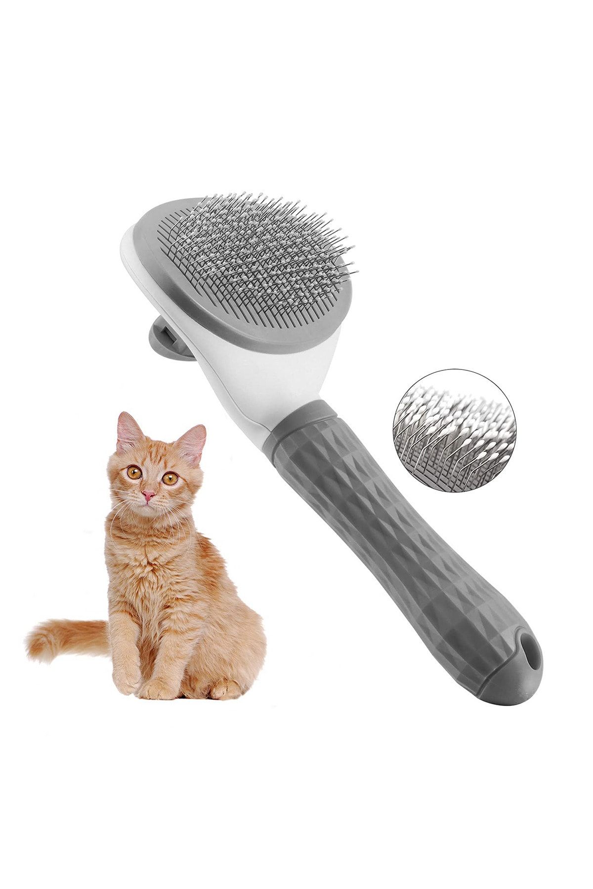 Pet cleaning brush top