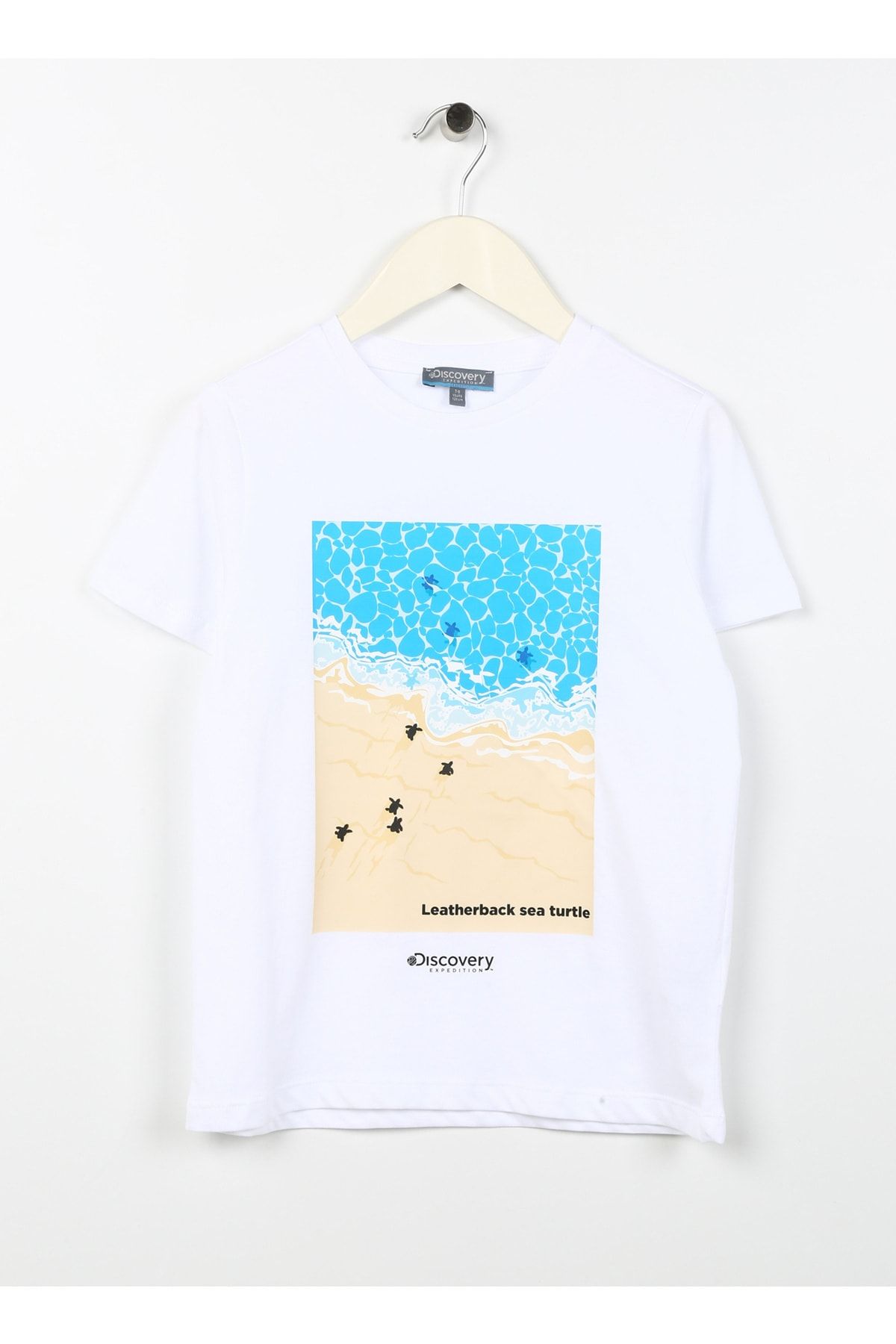◎Discovery EXPEDITION◎ Picnic back graphic t-shirt DGREY D Discovery Expedition Global | Discovery-Expedition