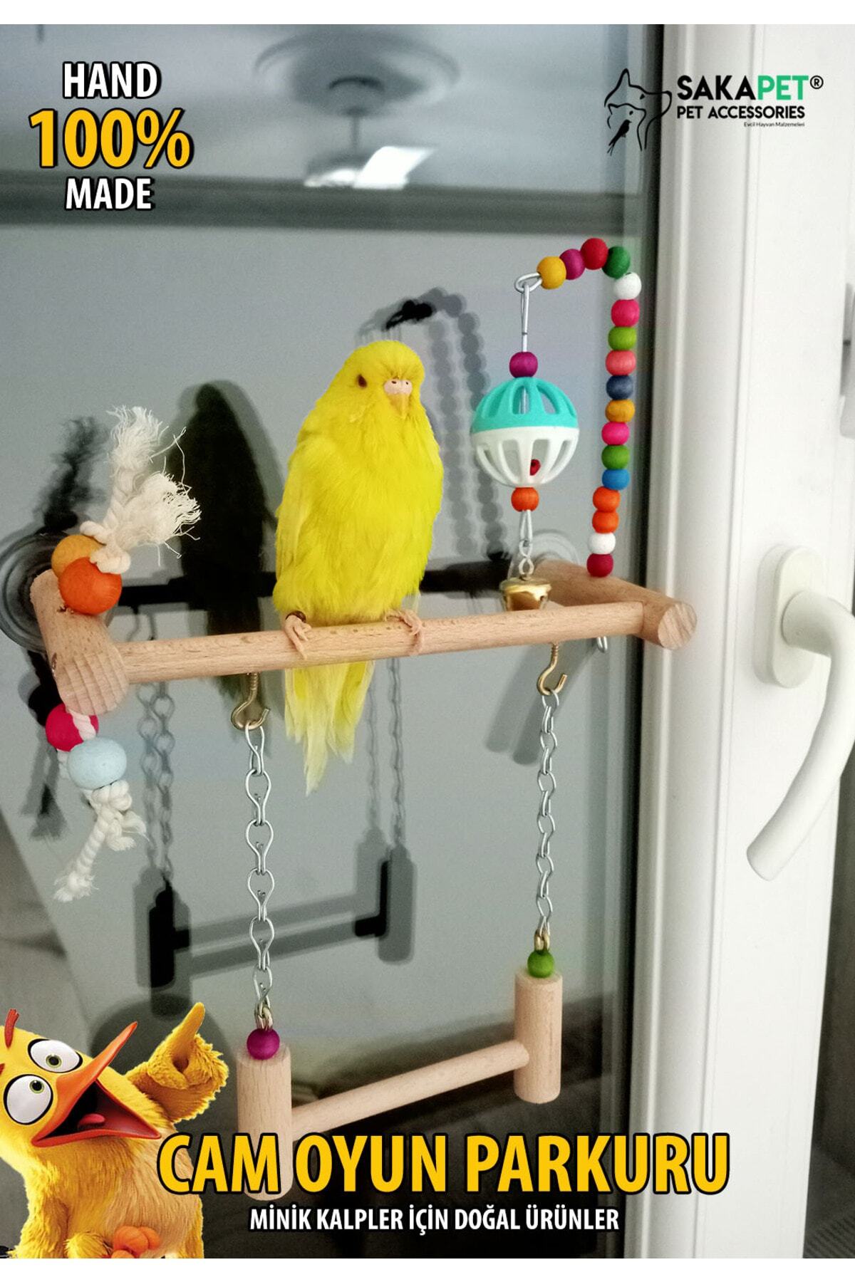 SAKAPET Paraket Vantuzlu Cam Tüneği Oyunlu TS15