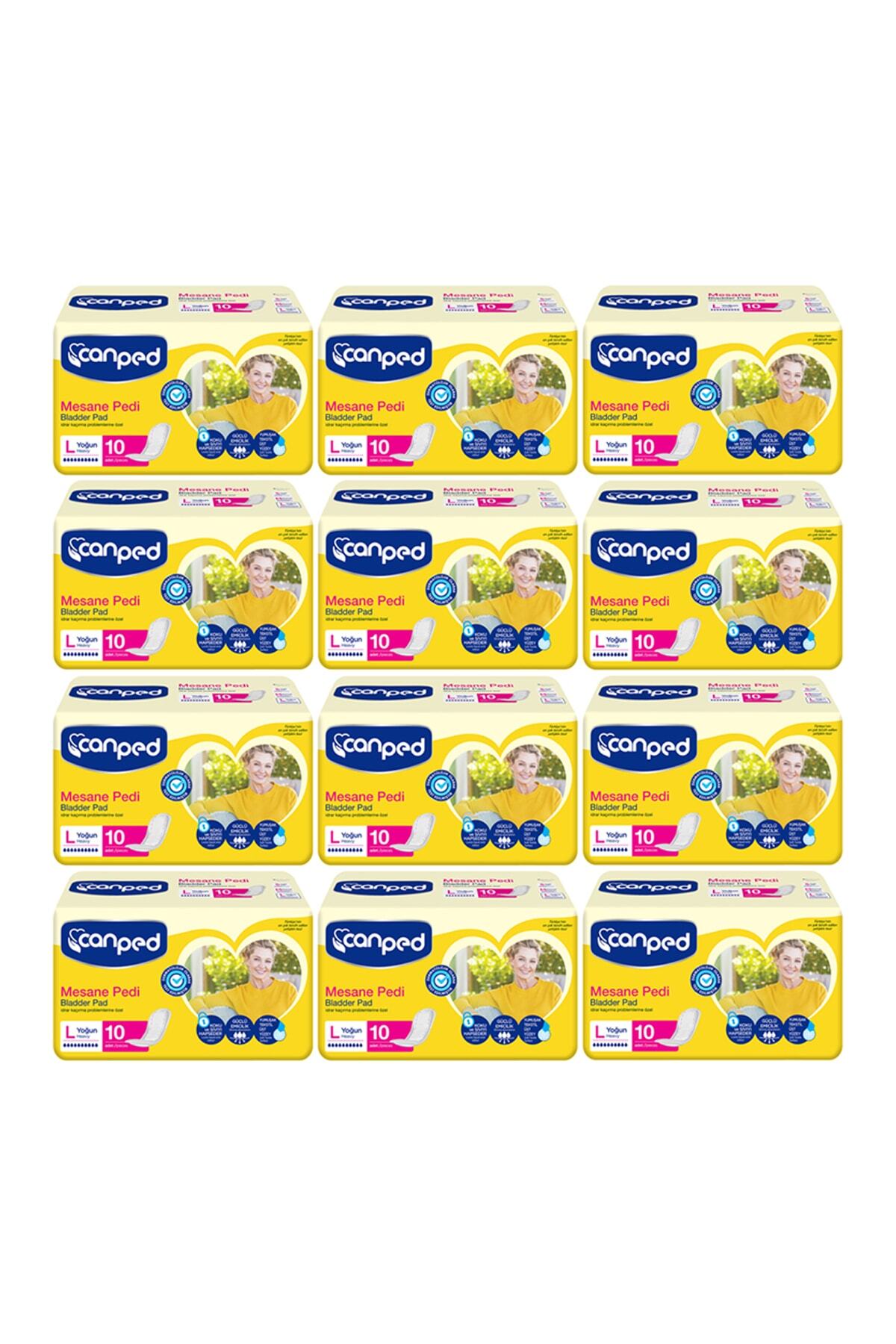 Canped Lohusa Pedi Yoğun L (Büyük) Beden 10'lu 12 Paket