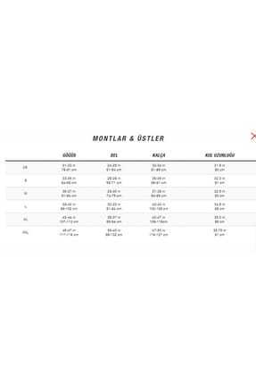 The North Face Mountain Light Windshell Kadin Mont Fiyati Yorumlari Trendyol