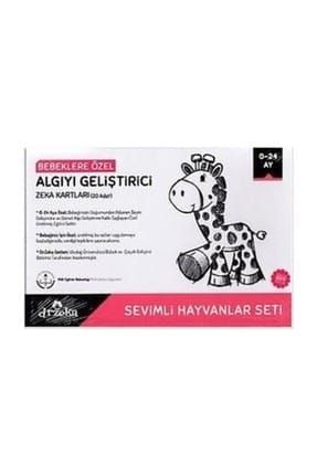 BEBEKLERE ÖZEL ALGIYI GELİŞTİRİCİ ZEKA KARTLARI SE 8680624506017