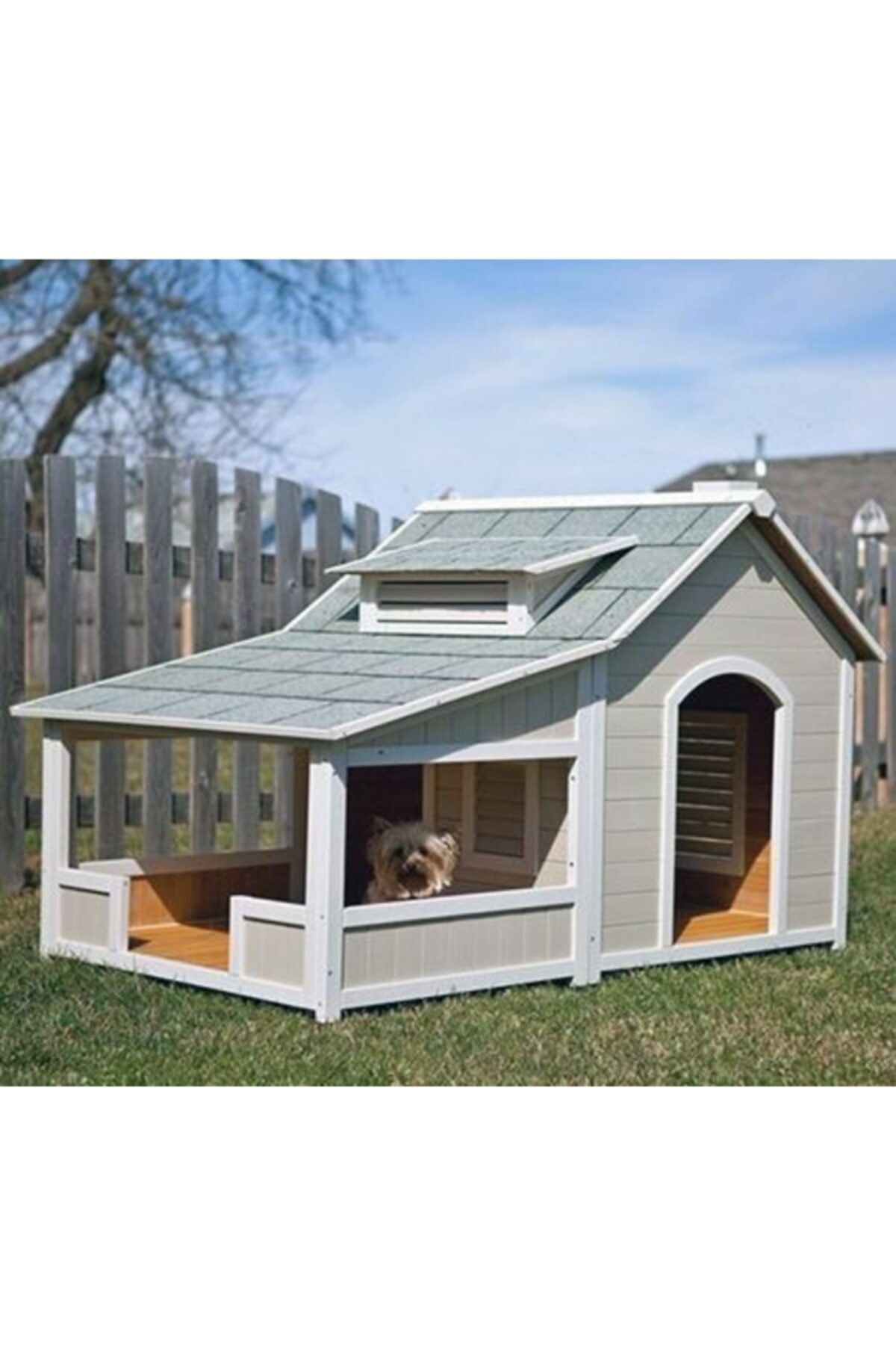 Latanwood Kopek Kulubesi Fiyati Yorumlari Trendyol