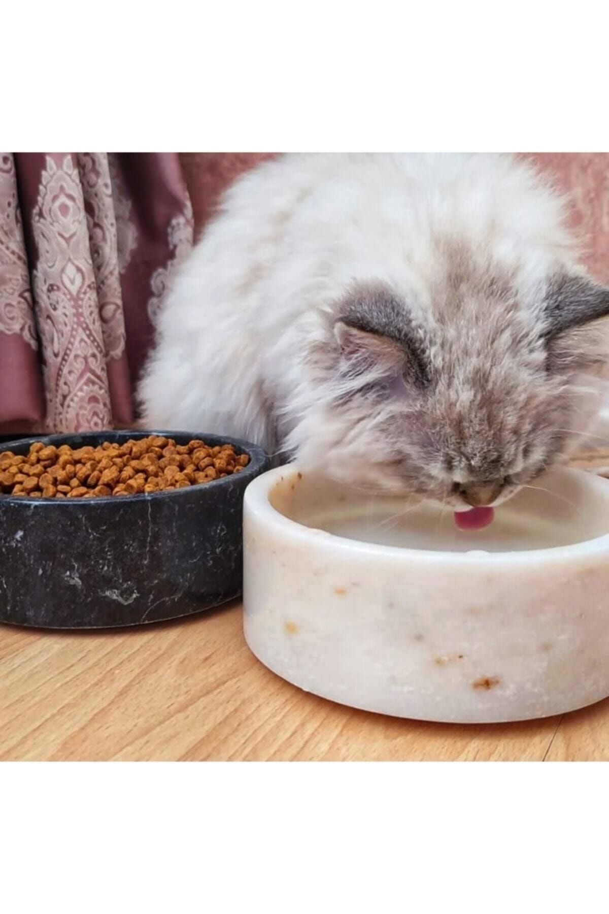 Marble cat bowl shop