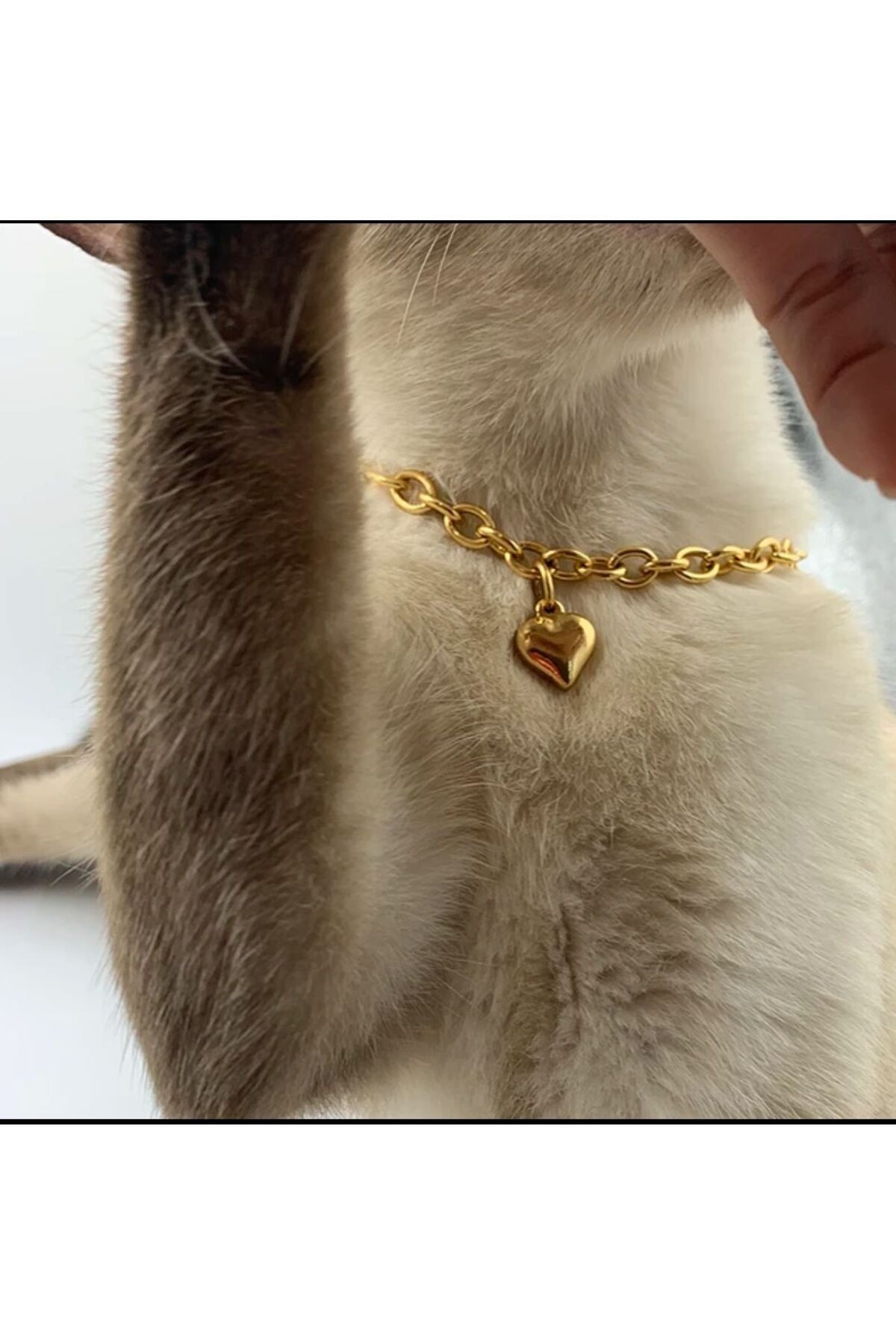 Adjustable chain best sale