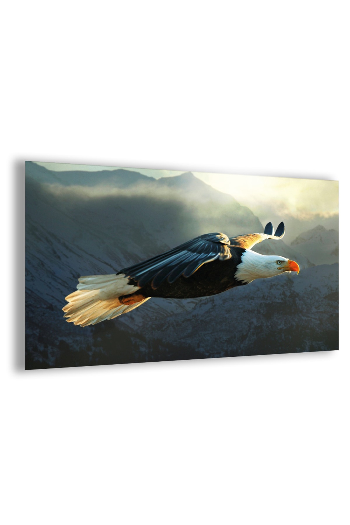 Frameless Horizontal Flying Eagle Tempered Glass Table