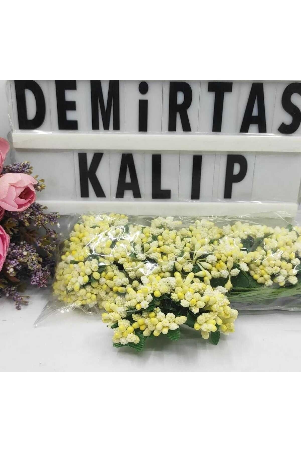 SARI PITIRCIK
