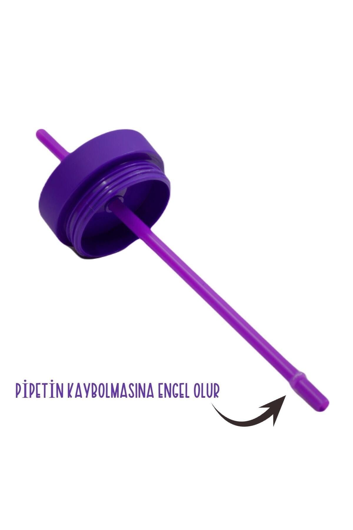 BottleBoss-Double Layer Leak Proof Lid Cup Flask with Straw 480 Ml Purple 4