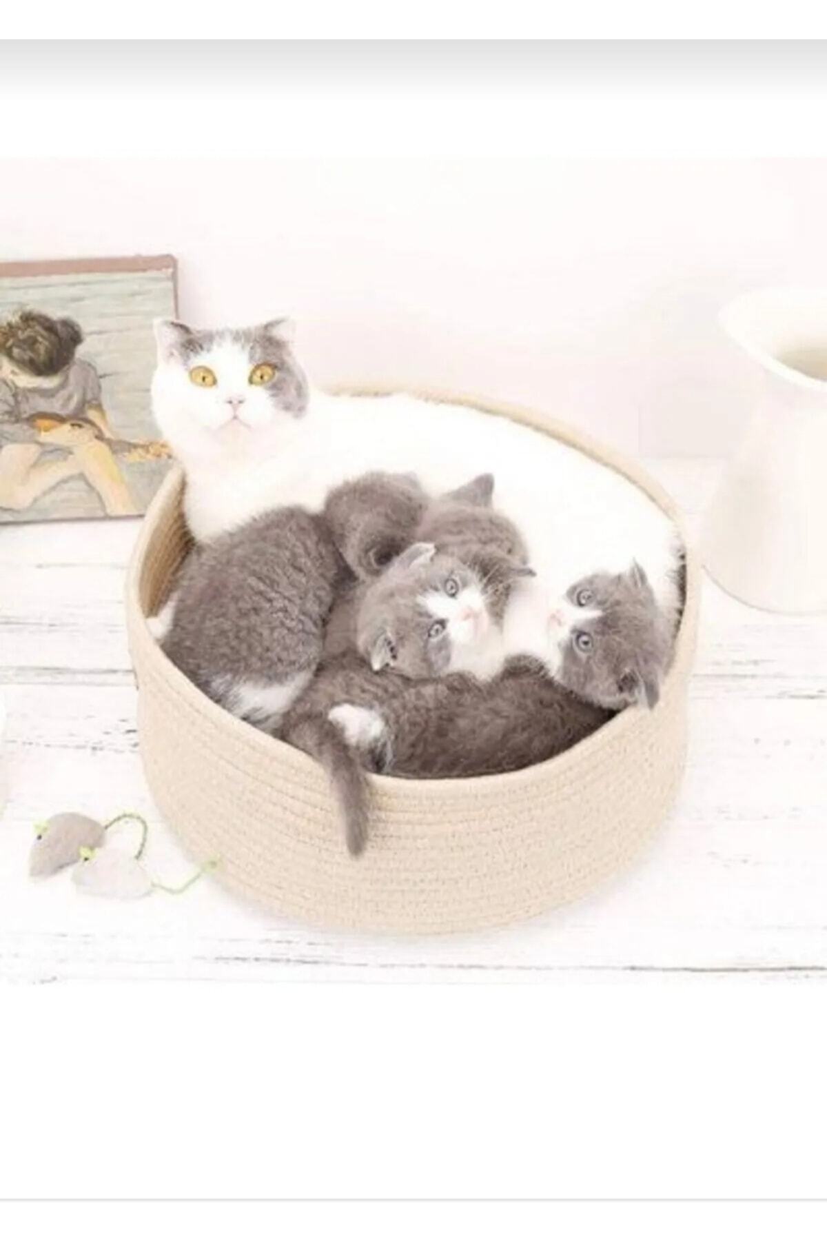 karelim home Kedi Köpek Evi Ekru X Large Kedi Köpek Sepeti Kedi Sepeti Yatağı 50x16