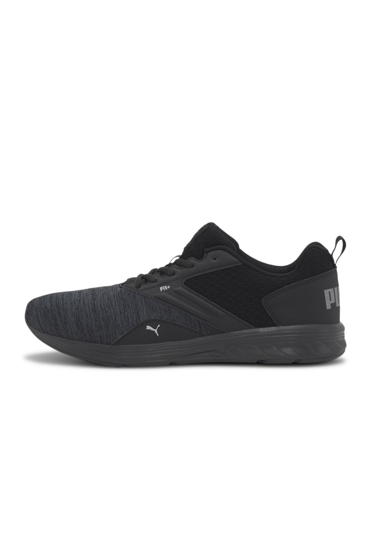 190556 32 new arrivals