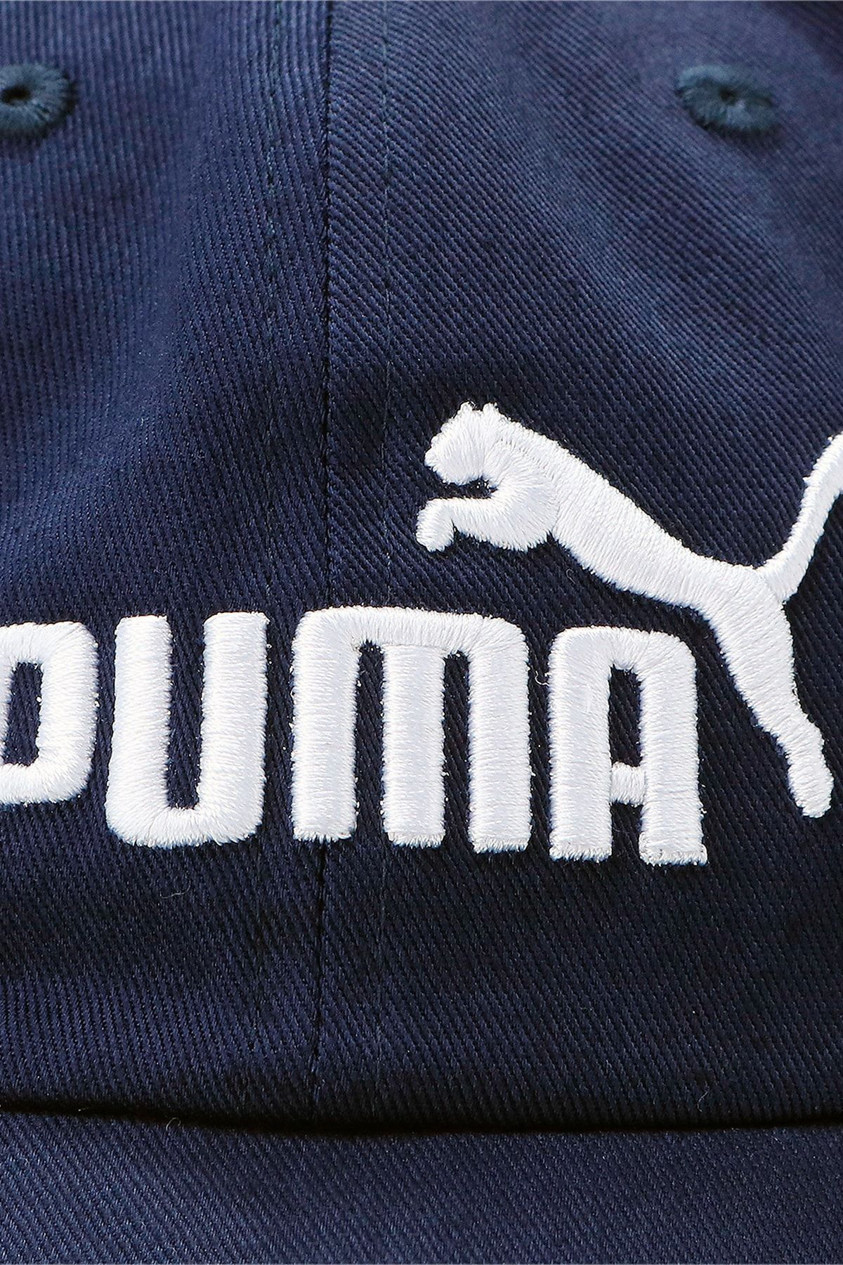 Puma-ESS Cap05291918 3