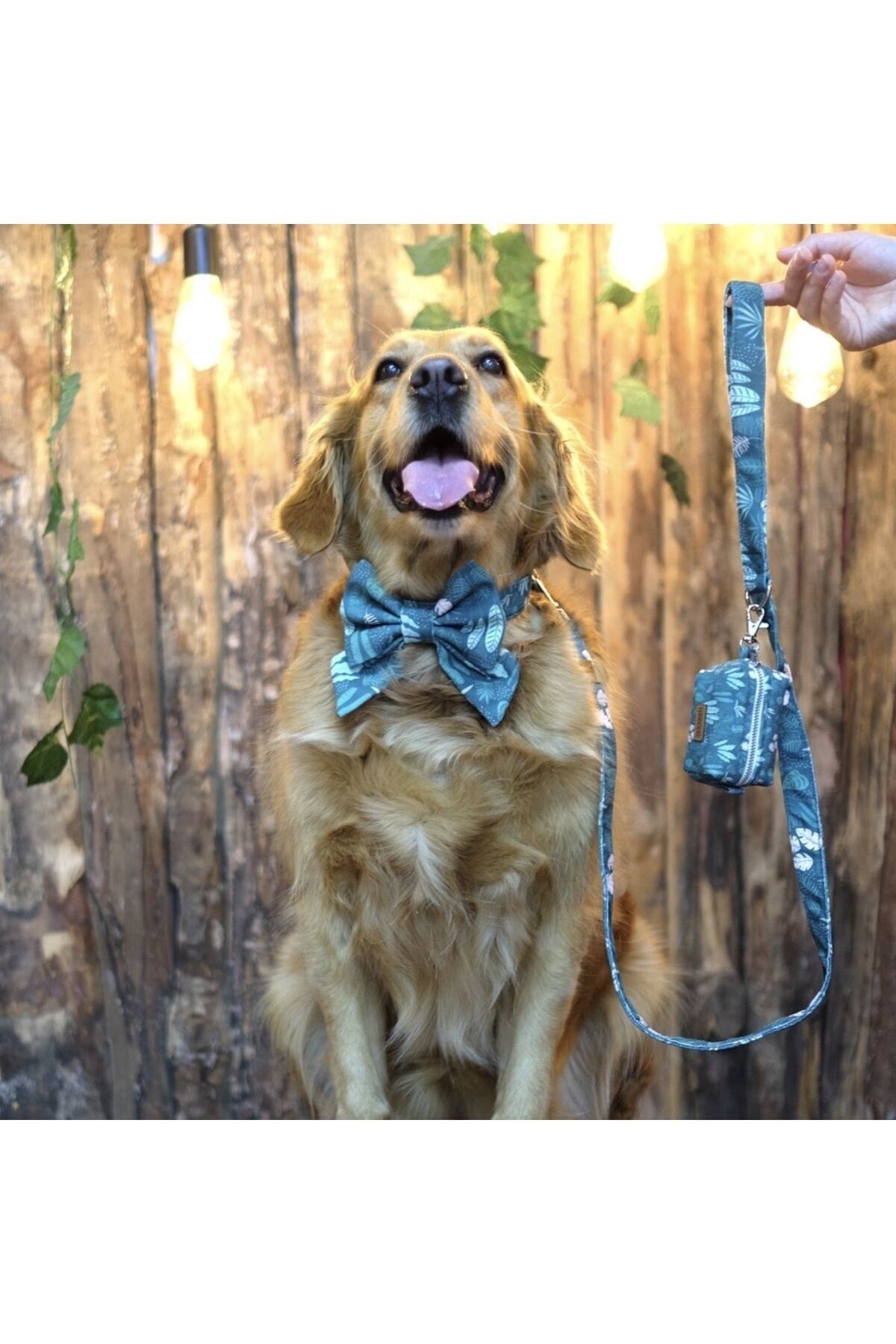 Lusi Doog Green Dog Collar Female Dog Bow Tie and Leash Set Floral