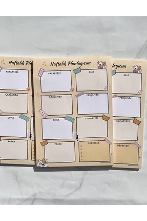 DileloyStore Kedi Detaylı Haftalık Planlayıcı , Bloknot (A5 , 15X21)